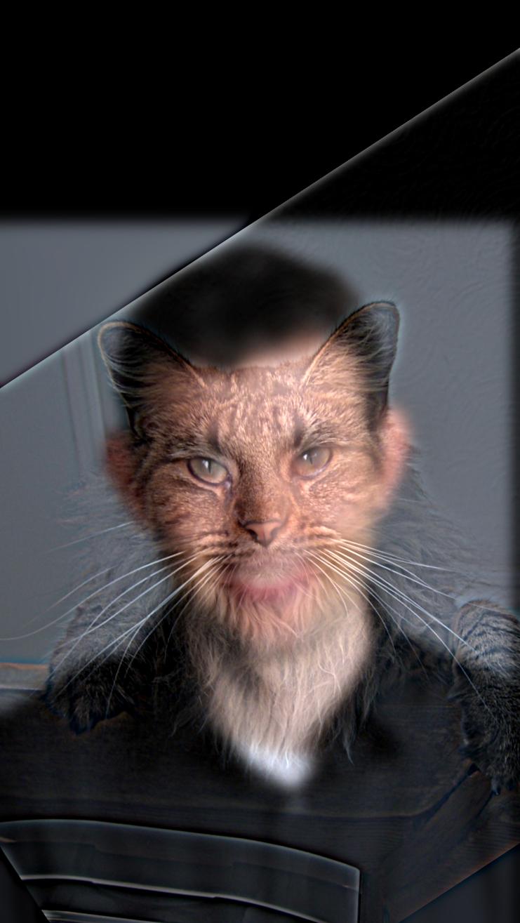 Derek x Cat